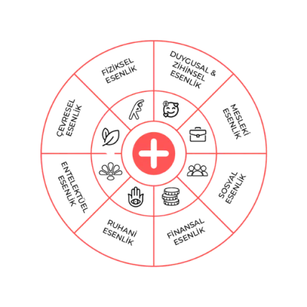 studioplus-platform (1)